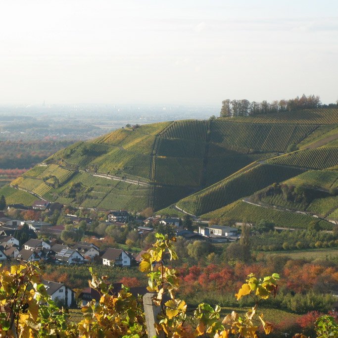 Weingut Schwörer Durbach