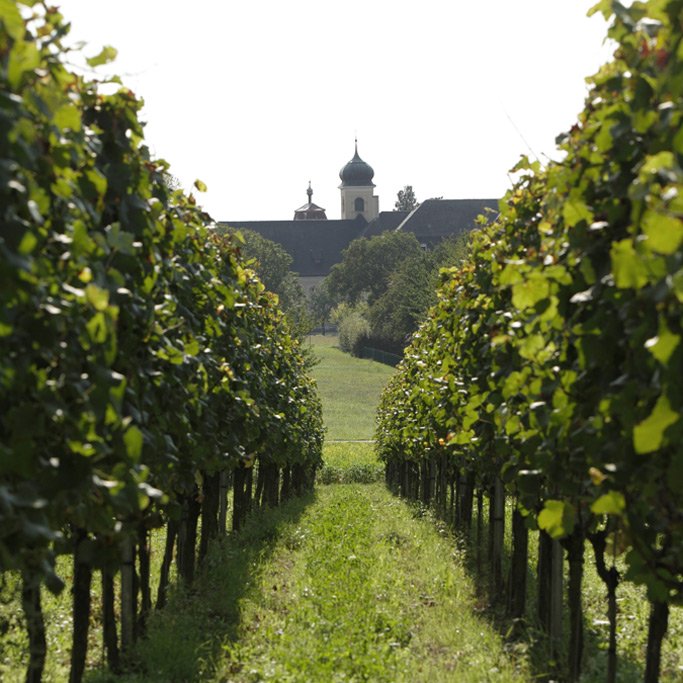 Familienweingut Julius Zotz 