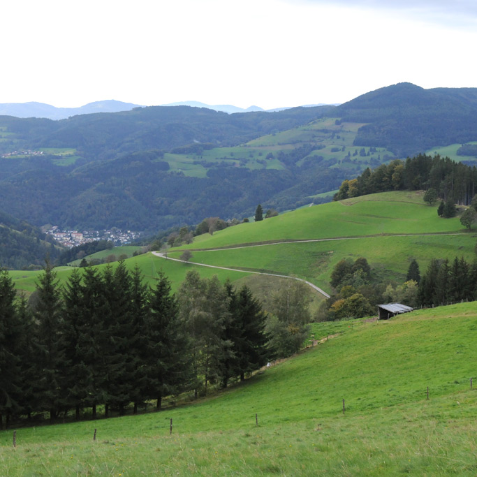 Schwarzwald Imker