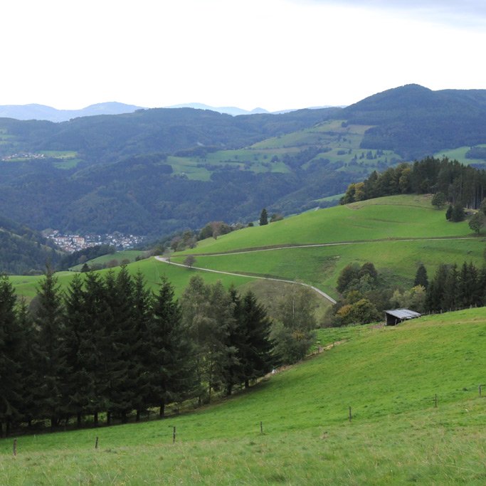 Schwarzwald Imker